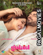 Aabeer Gulaal (2025) Full Movie