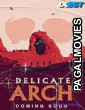 Delicate Arch (2024) Hollywood Hindi Dubbed Full Movie