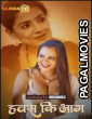 Hawas Ki Aag (2025) SaavanTV Hindi Short Hot Film