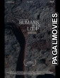 Humans in the Loop (2025) Full Movie