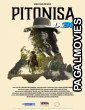 Pitonisa (2024) Hollywood Hindi Dubbed Full Movie