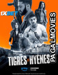 Tigres Et Hyenes (2024) Hollywood Hindi Dubbed Full Movie